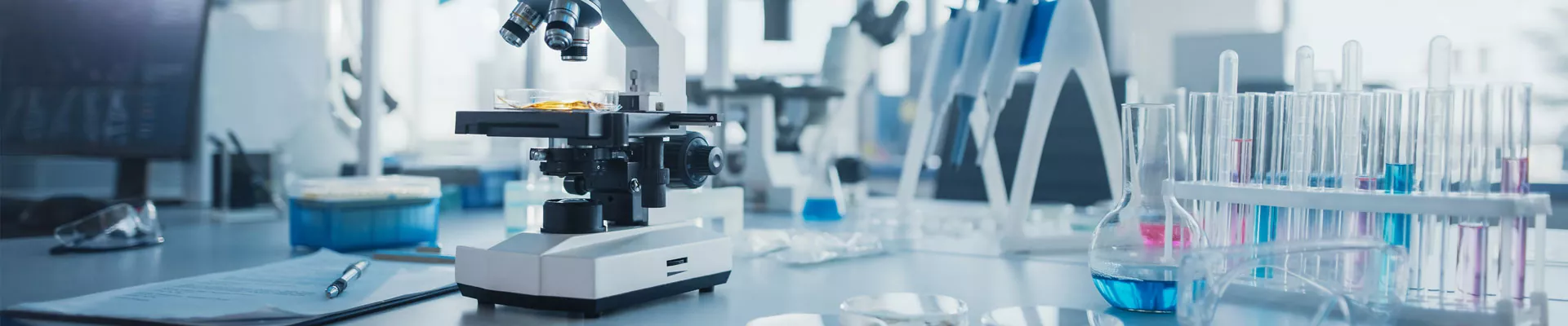 お問い合わせを送信